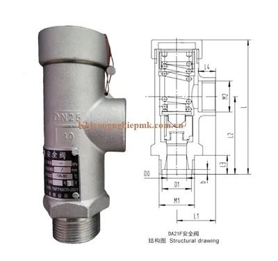 Van an toàn chịu lạnh DN25 - 2.4Mpa